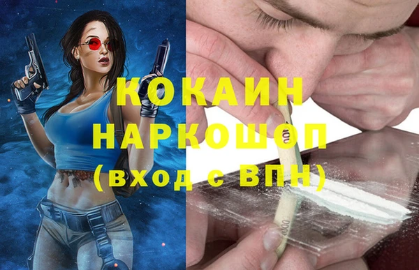 спиды Горняк