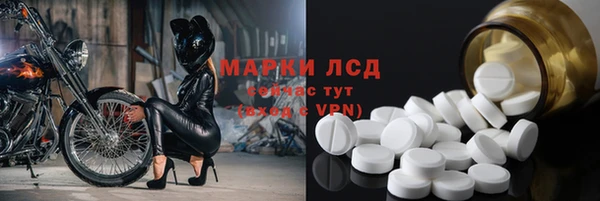 спиды Горняк