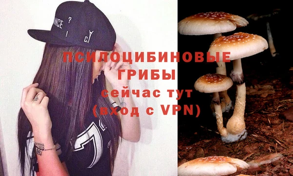 спиды Горняк
