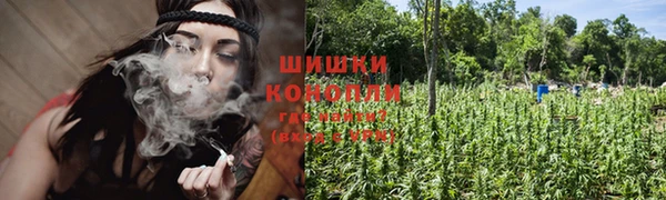 соль ск Гусь-Хрустальный
