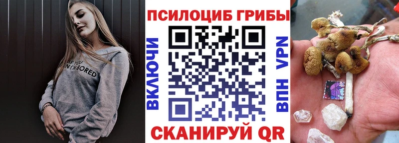 Псилоцибиновые грибы MAGIC MUSHROOMS  где можно купить наркотик  Златоуст 
